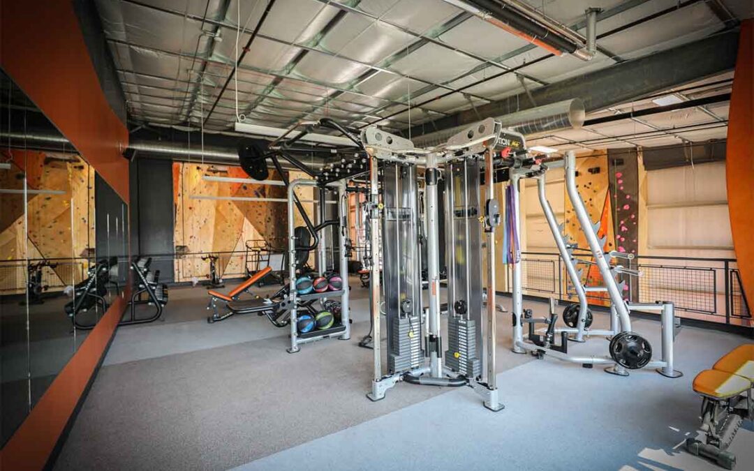 Gym matting options for commercial and home gyms