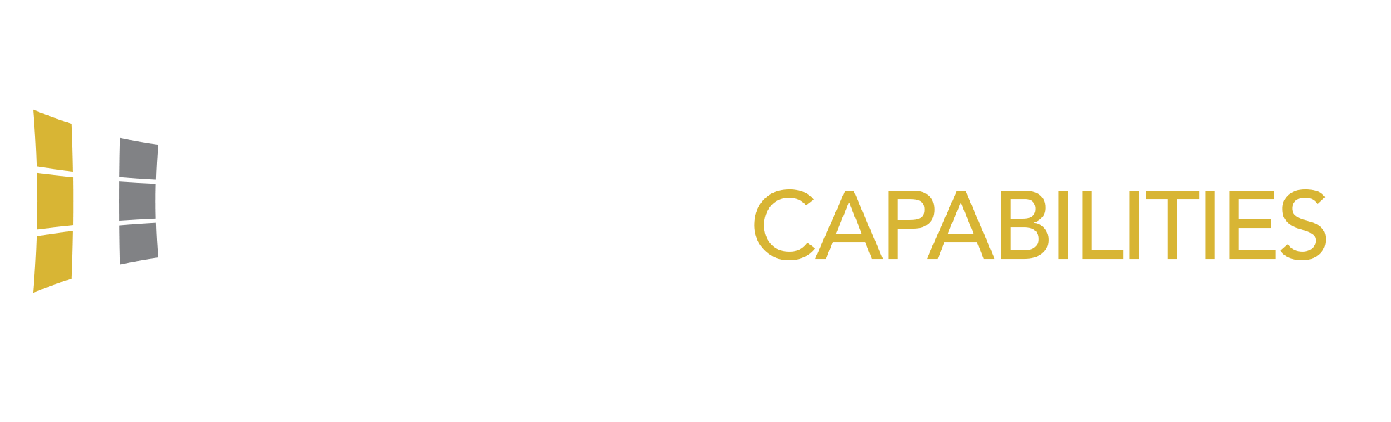 Dinoflex-Custom Dinoflex - Vulca-NO - SKATE